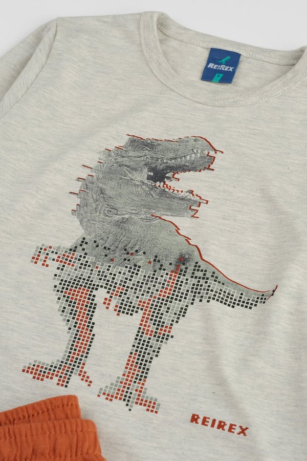 Conjunto Infantil Menino Verão, Dinossauro, 2 peças - Rei Rex - Loja de  Roupa Infantil Para Meninas, Meninos e Bebês